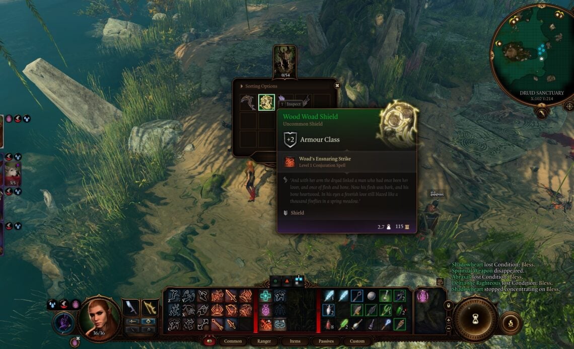 Come ottenere lo scudo di legno in Baldur's Gate 3