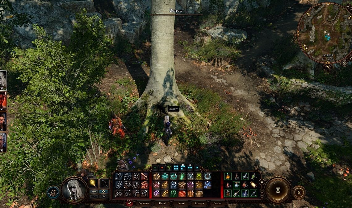 Come ottenere la corona di Wapira in Baldur's Gate 3