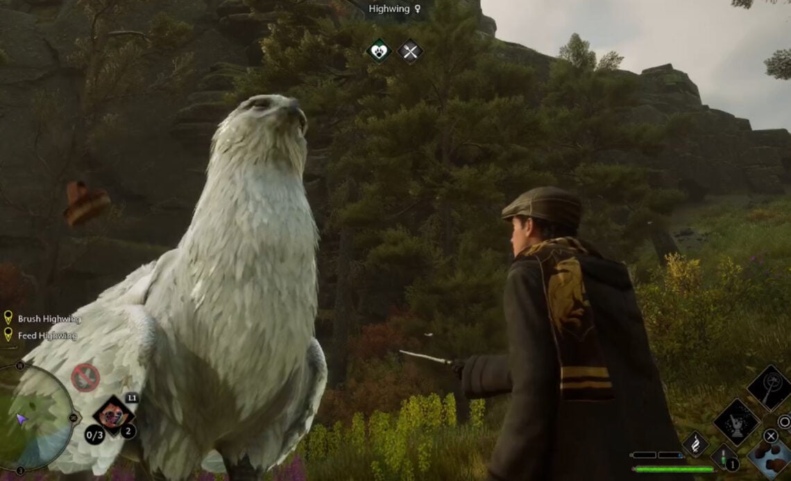 Hogwarts Legacy - Beasts Class brush Highwing