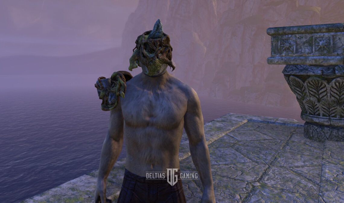 Character Wearing the Helmet Anthelmir