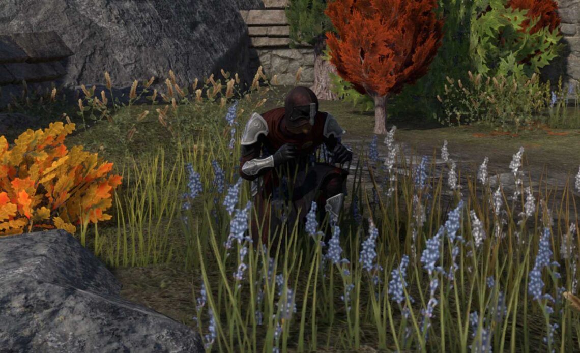 How to Get the Shadow Queen