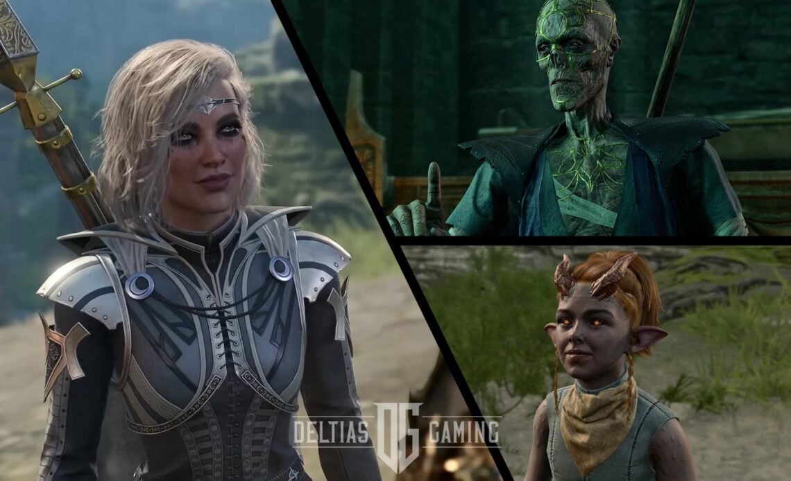 All Camp Followers in Baldur