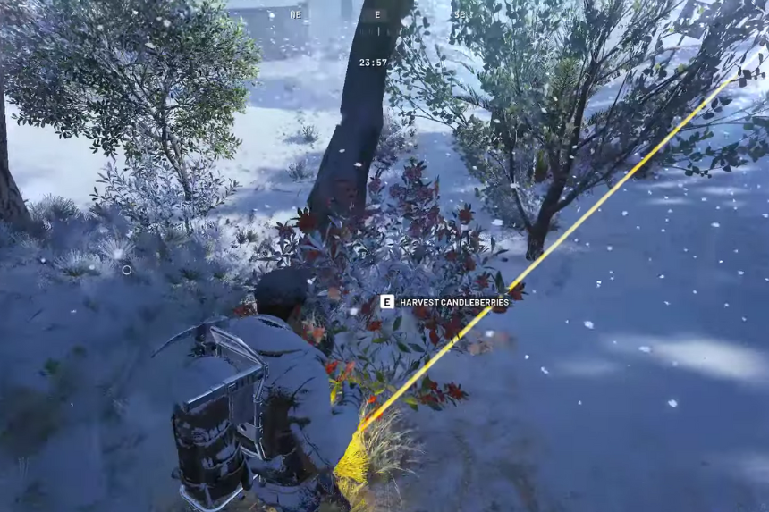 Tutti i modi per trovare Candleberries (località) – ARC Raiders