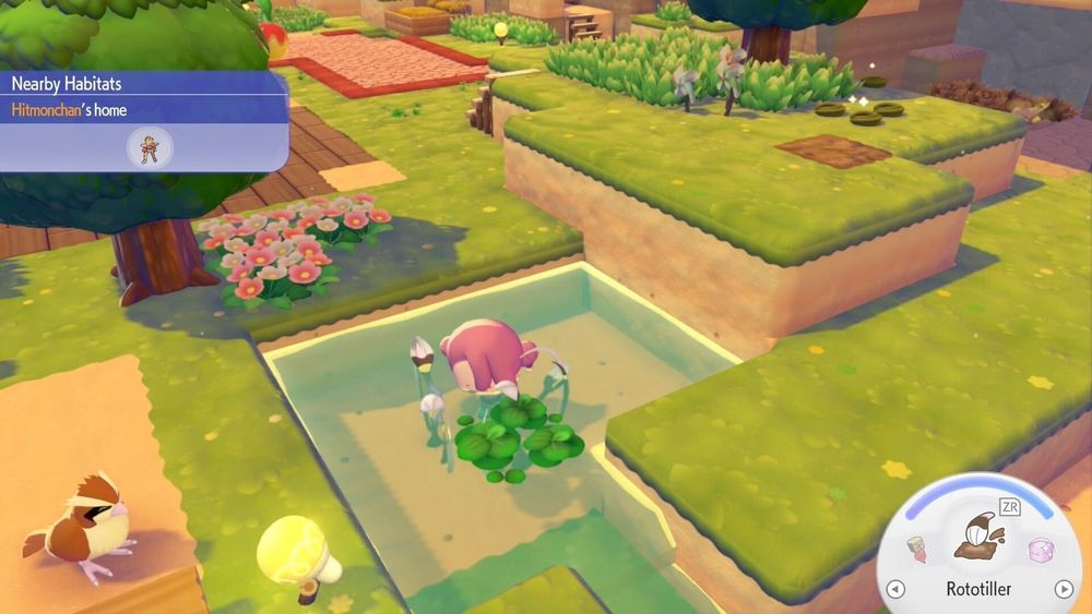 Pokémon Pokopia Guide: How to Make Duckweed