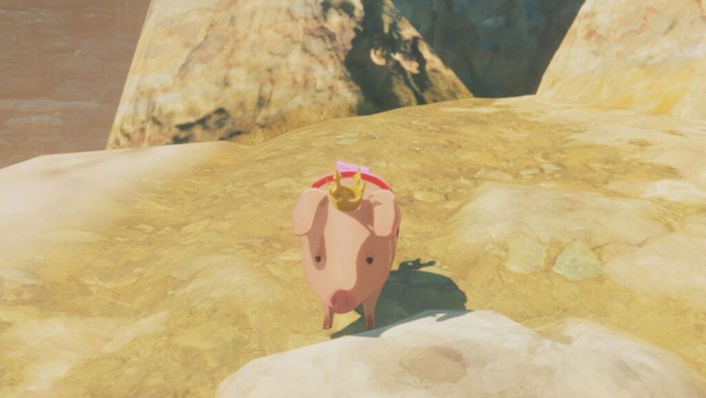 Monster Hunter Stories 3 Guide: All Poogie Locations