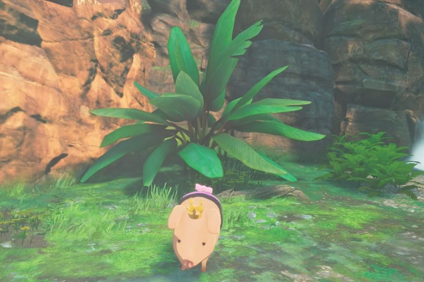 All Poogies Location in Narrow Passage - Monster Hunter Stories 3