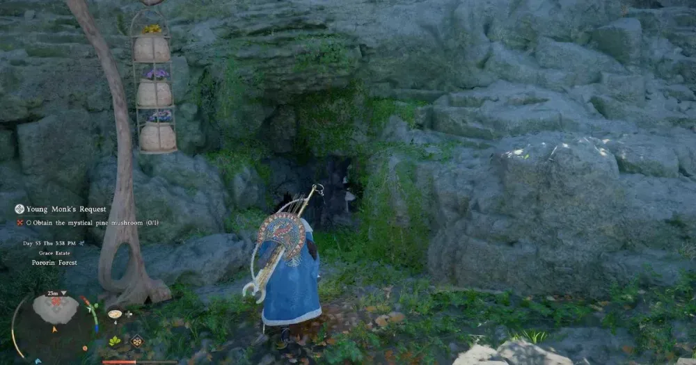 Mystical Pine Mushroom Location (Young ...