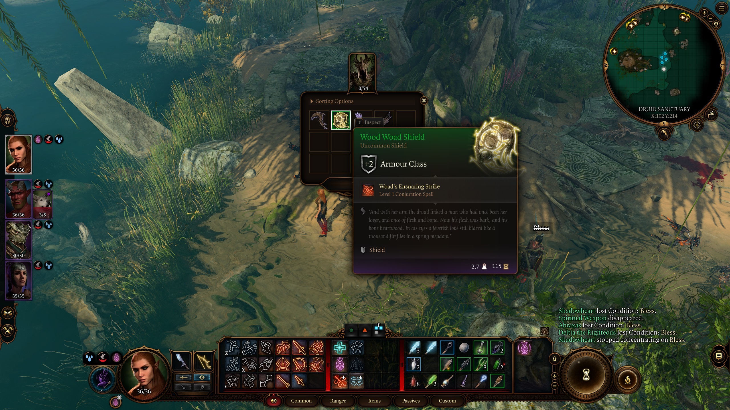 Come ottenere lo scudo di legno in Baldur's Gate 3