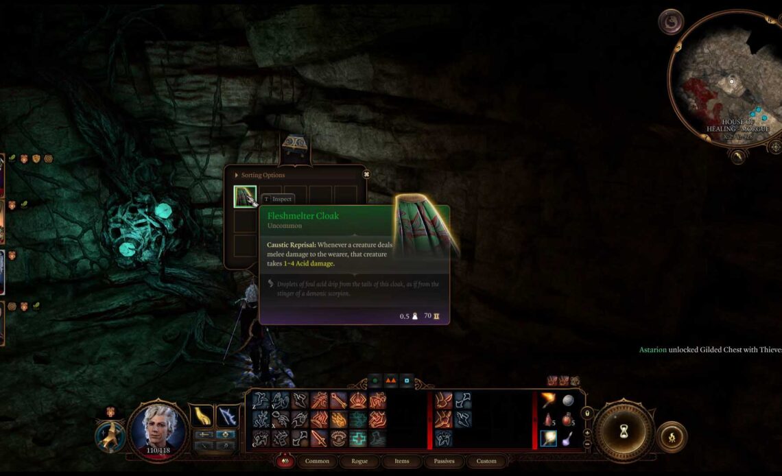 Come ottenere il mantello dello scioglicarne in Baldur's Gate 3