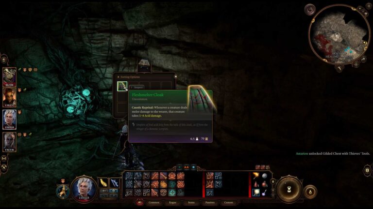 Come ottenere il mantello dello scioglicarne in Baldur's Gate 3
