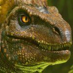 ARK Survival Ascended Console Release Date - Raptor - In-Game screen