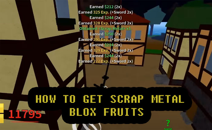 Scrap Metal Blox Fruits