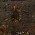 Wildcard Continues the Tradition of Dropping Patches Daily for ARK Ascended
