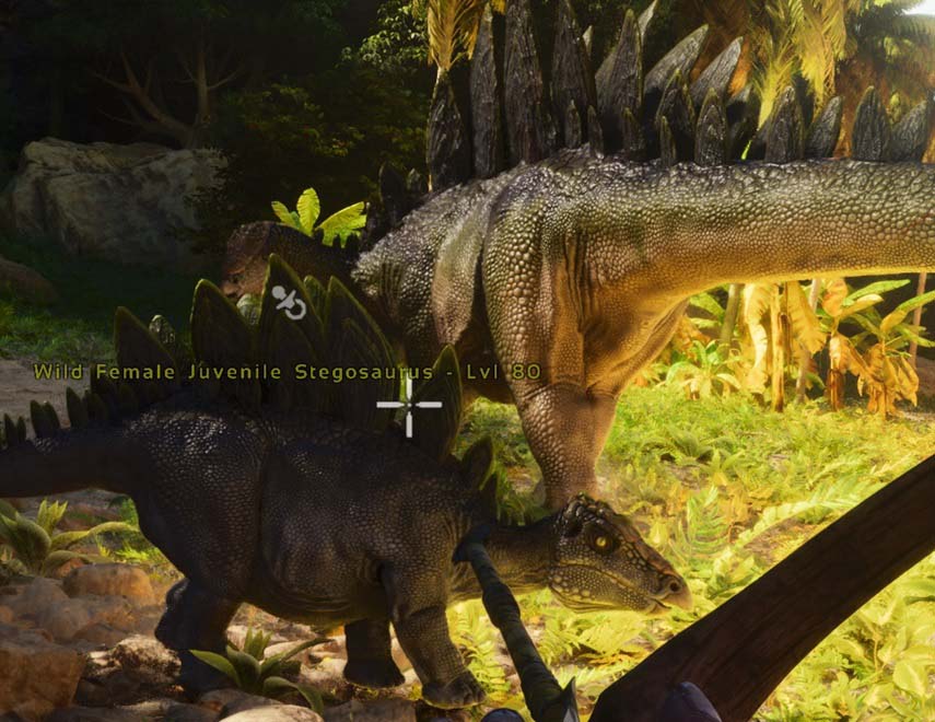Stegosaurus - ARK Survival Asceso - Riduzione del peso delle bacche