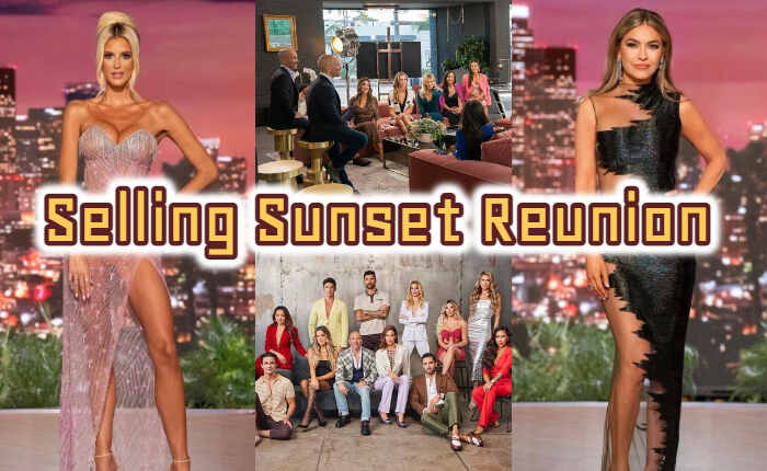 Vendo la serie Sunset Reunion