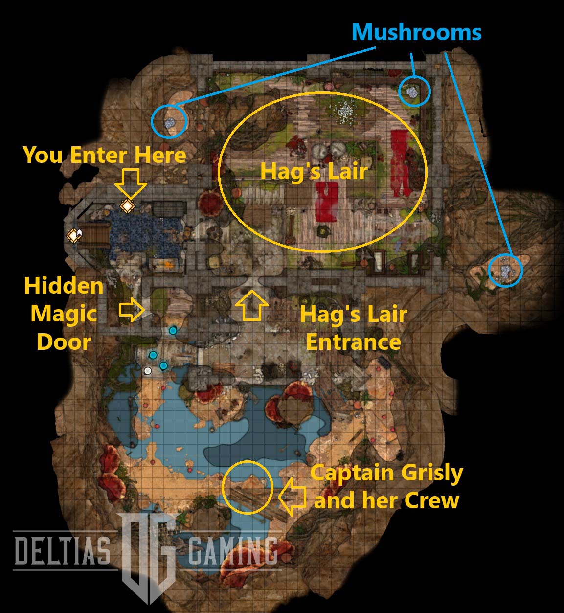 Mappa della tana di Ethel nell'Atto 3 - Baldur's Gate 3 - BG3