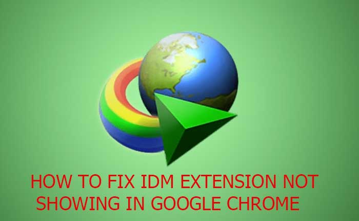 IDM Extension not showing in Chrome