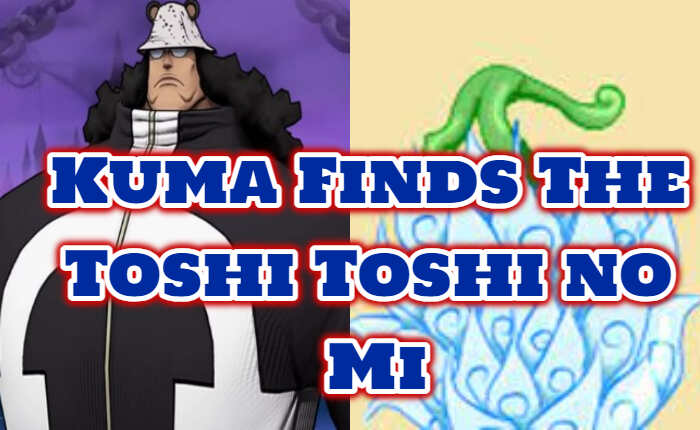 Kuma trova il Toshi Toshi no Mi