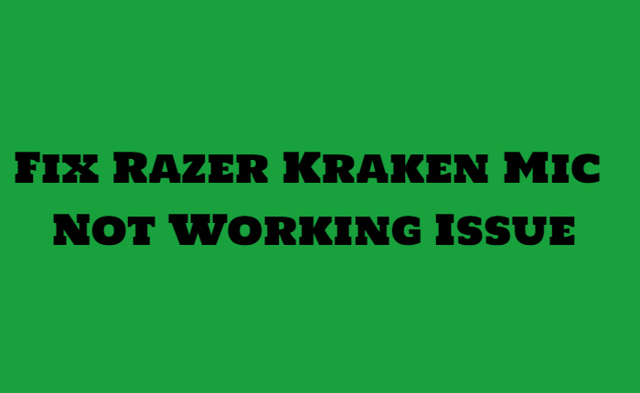 Risolto il problema con il microfono Razer Kraken non funzionante 1
