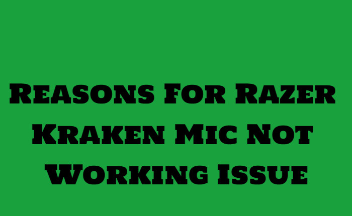 Motivi per cui il microfono Razer Kraken non funziona Problema 1