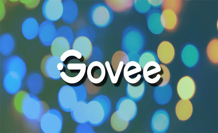 Govee Network Error
