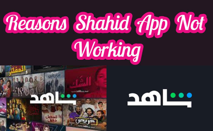 Motivi per cui l'app Shahid non funziona