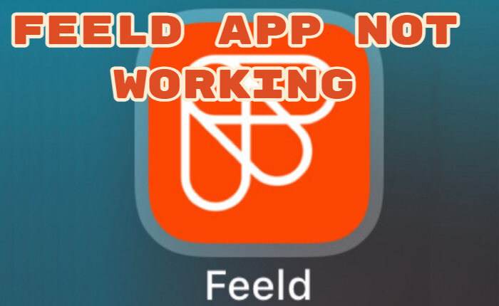 Feeld App Not Working