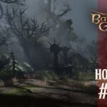 BG3 Hotfix #16