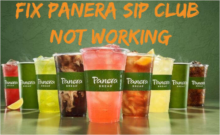 Panera Sip Club Not Working