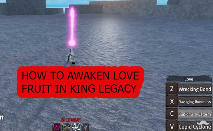 King Legacy Love Fruit