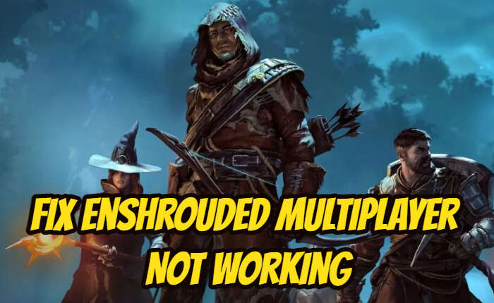 Enshrouded Multiplayer Not Working