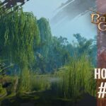 Baldur’s Gate 3 Hotfix _17 – Gale Magic Item Nerf, Smaller Saves, and Camp Accessibility