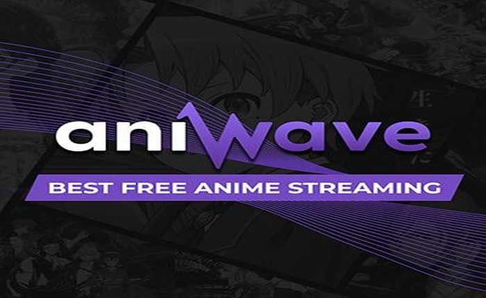 How To Fix Aniwave Not Loading