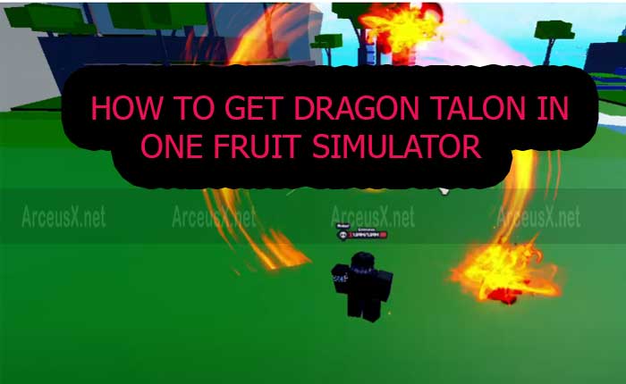 Dragon Talon One Fruit Simulator