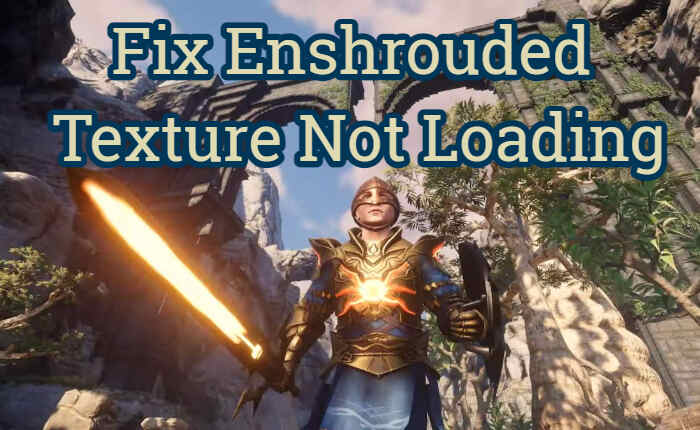 Enshrouded Textures Not Loading