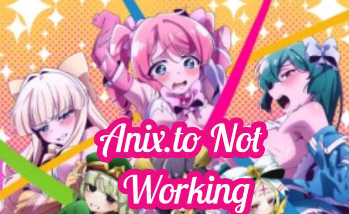 Anix.to Not Working