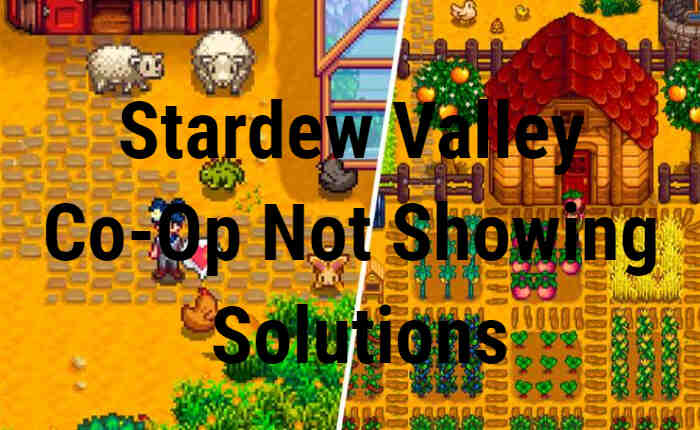 Stardew Valley Co-Op Not Showing