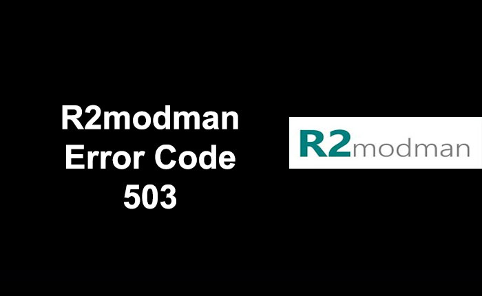 R2modman Error Code 503