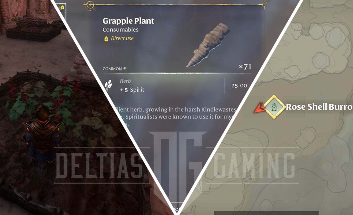 How to Get Grapple Plant in Enshrouded