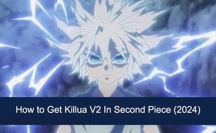 Get Killua V2 In Second Piece