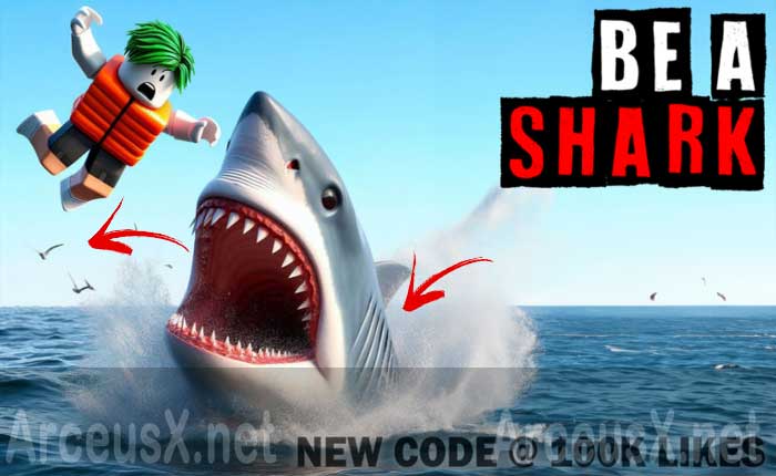 Be A Shark Codes