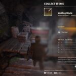 Enshrouded Wailing Blade – Legendary Weapon