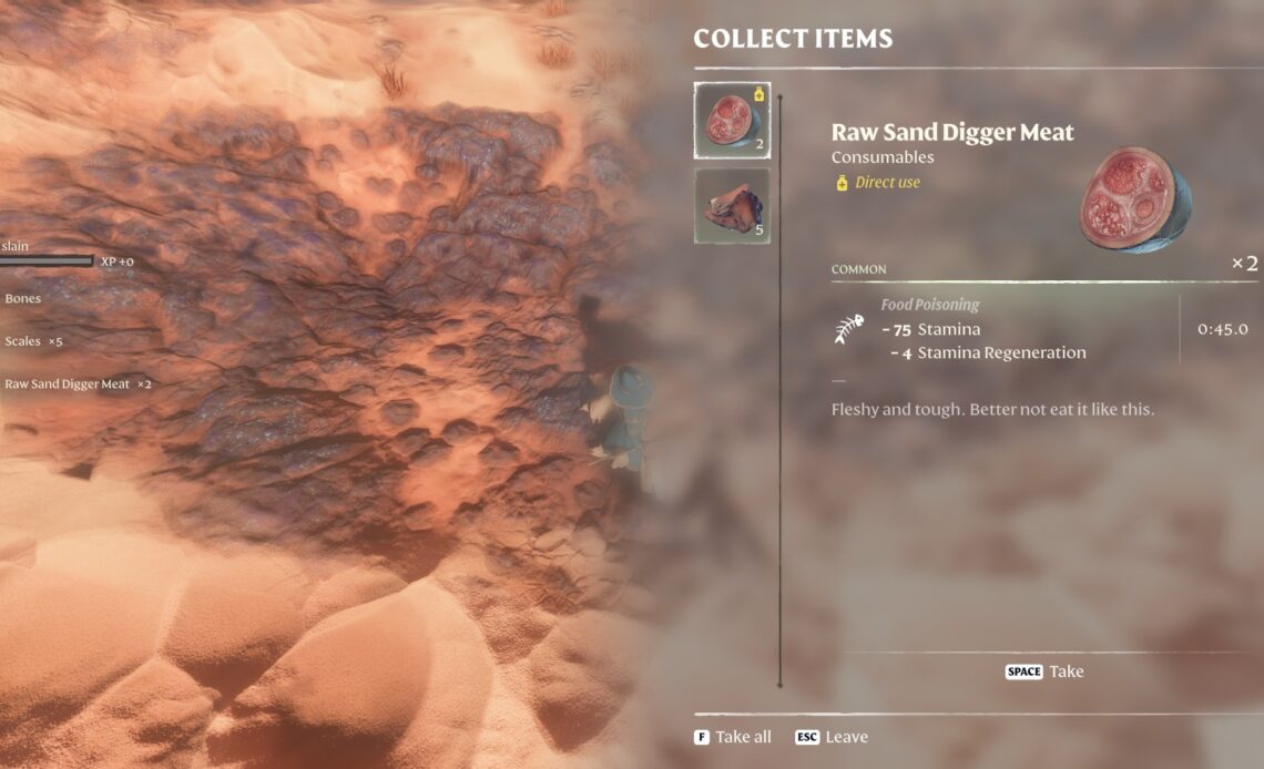 Finding Raw Sand Digger Meat in Enshrouded Game