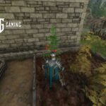 Enshrouded Harvesting Tomato in Game