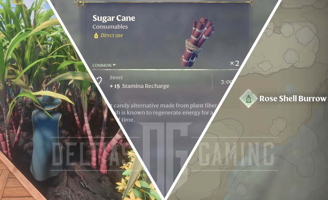 How to Get Sugar Cane in Enshrouded