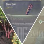 How to Get Sugar Cane in Enshrouded