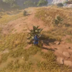 Aloe plant - Enshrouded