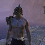 Character Wearing the Helmet Anthelmir
