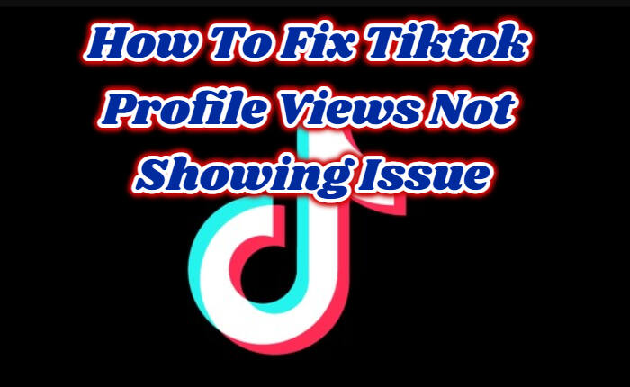 Tiktok profile views not showing