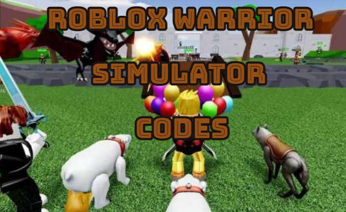 Warrior Simulator Codes